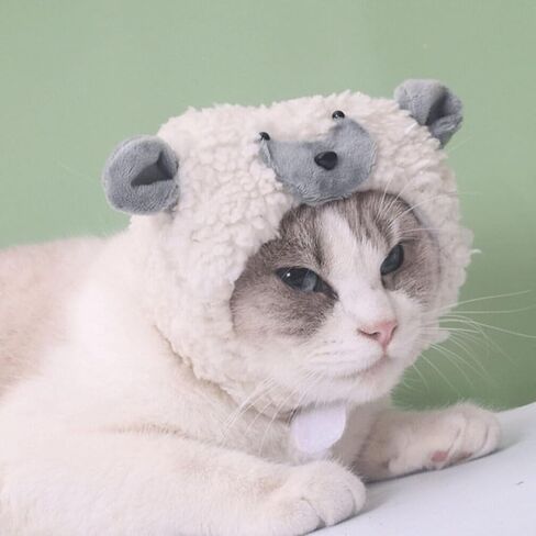 Ipetboom Halloween Cat Cap Cartoon Lamb Shaped Dog Costume Hat Pet Headgear Puppy Cap Sheep Hat Headwear Pet Cosplay Dress up Accessories Halloween Costume for Cat Dog in Saudi Arabia