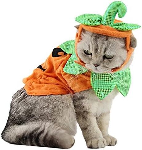 ANIAC Pet Pumpkin Costume Cat Halloween Hat Cloak Sets Puppy Poncho Dog Halloween Cosplay for Kitty Small Medium Sized Dog in Kuwait