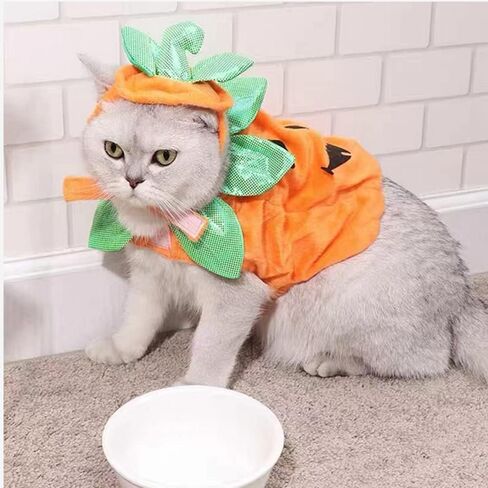 ANIAC Pet Pumpkin Costume Cat Halloween Hat Cloak Sets Puppy Poncho Dog Halloween Cosplay for Kitty Small Medium Sized Dog in Kuwait