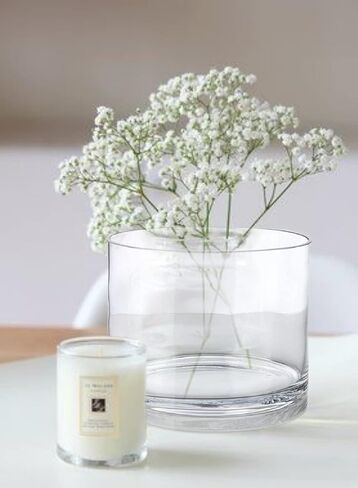 Serene Spaces Living Set of 6 Clear Glass Cylinder Vase, Use for Floral Arrangements or as Candle Holder, Cylindrical Shape Offers Endless Design Options, Measures 8" Diameter & 6" Tall in Saudi Arabia