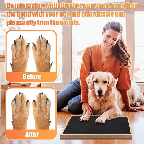 Pet Nail Self Adhesive Replacement Emery Paper Fits Most Dog Scratch Pad Cat Litter Box DIY on The Places Where Pets Like to Scratch Alternatives to Cat and Dog Nail Clippers (10in*13ft, Black) in Saudi Arabia