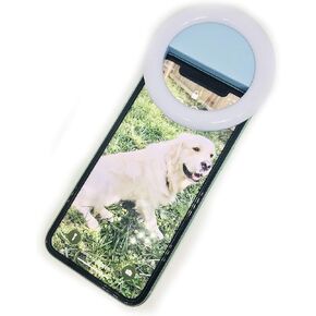Selfie Ring Light for Phone iPhone Android USB Rechargeable | 3 Brightness Modes + Strobe Light | Clips On | Blue in Saudi Arabia