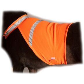 2PET سترة صيد للكلاب وسترة عاكسة للسلامة - تستخدم للرؤية العالية - تحمي الحيوانات الأليفة من السيارات وحوادث الصيد في كل من البيئات الحضرية والريفية - برتقالي مشع صغير in Kuwait