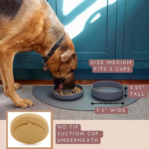 The Perfect Dish - Durable Dog Water Bowl - No Spill - Less Mess Non-Tippable Water & Food Bowl, Pure Silicone, Spill Proof with Suction Cup, Suitable for All Pets, Small-Blush in Saudi Arabia
