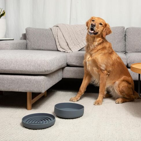 The Perfect Dish - Durable Dog Water Bowl - No Spill - Less Mess Non-Tippable Water & Food Bowl, Pure Silicone, Spill Proof with Suction Cup, Suitable for All Pets, Small-Blush in Saudi Arabia