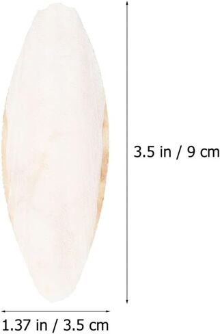 EXCEART 30pcs Bird Cuttlebone Natural Cuddle Bone Bird Beak Stone Beak Grinder Parrot Chew Toys Molar Toy for Parakeets Cockatiel Macaw in Saudi Arabia