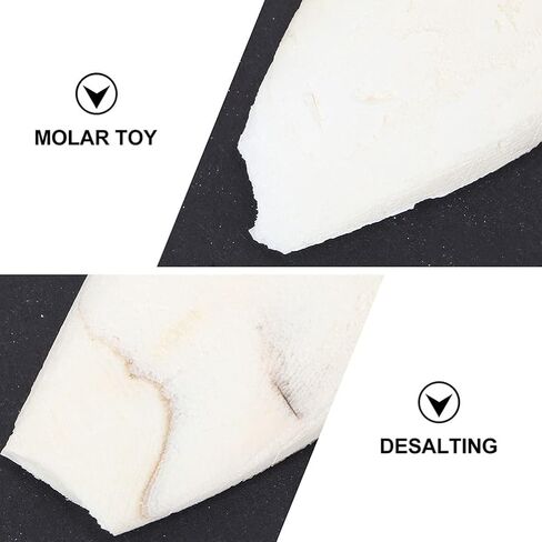 EXCEART 30pcs Bird Cuttlebone Natural Cuddle Bone Bird Beak Stone Beak Grinder Parrot Chew Toys Molar Toy for Parakeets Cockatiel Macaw in Saudi Arabia