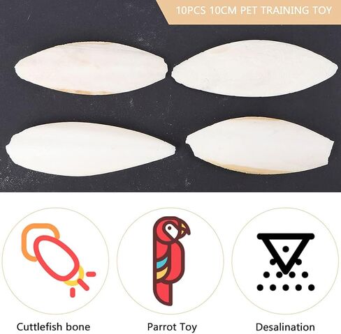 EXCEART 30pcs Bird Cuttlebone Natural Cuddle Bone Bird Beak Stone Beak Grinder Parrot Chew Toys Molar Toy for Parakeets Cockatiel Macaw in Saudi Arabia