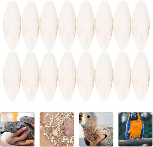 EXCEART 30pcs Bird Cuttlebone Natural Cuddle Bone Bird Beak Stone Beak Grinder Parrot Chew Toys Molar Toy for Parakeets Cockatiel Macaw in Saudi Arabia