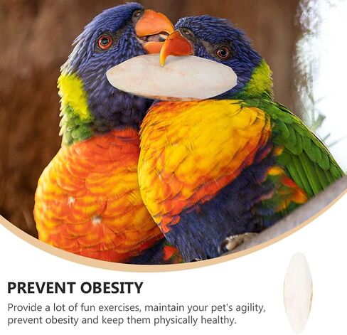 EXCEART 30pcs Bird Cuttlebone Natural Cuddle Bone Bird Beak Stone Beak Grinder Parrot Chew Toys Molar Toy for Parakeets Cockatiel Macaw in Saudi Arabia