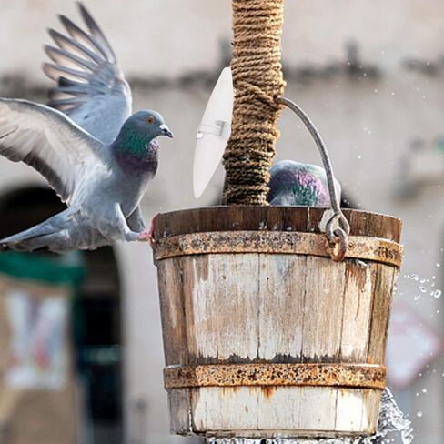 نوبيستي عظمة حبار للطيور مع حاملات، 6 مجموعات 11 سم عظم الحبار المضغ مع حامل معدني، عظم حبار الطيور الطبيعية الكالسيوم لببغاوات الباراكيت | 11 × 3 × 1 سم in Kuwait