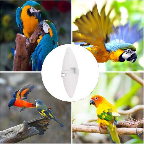 نوبيستي عظمة حبار للطيور مع حاملات، 6 مجموعات 11 سم عظم الحبار المضغ مع حامل معدني، عظم حبار الطيور الطبيعية الكالسيوم لببغاوات الباراكيت | 11 × 3 × 1 سم in Kuwait