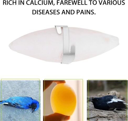 نوبيستي عظمة حبار للطيور مع حاملات، 6 مجموعات 11 سم عظم الحبار المضغ مع حامل معدني، عظم حبار الطيور الطبيعية الكالسيوم لببغاوات الباراكيت | 11 × 3 × 1 سم in Kuwait