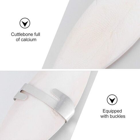 نوبيستي عظمة حبار للطيور مع حاملات، 6 مجموعات 11 سم عظم الحبار المضغ مع حامل معدني، عظم حبار الطيور الطبيعية الكالسيوم لببغاوات الباراكيت | 11 × 3 × 1 سم in Kuwait