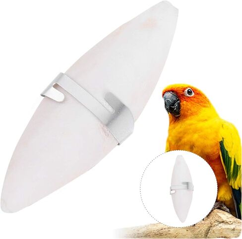 نوبيستي عظمة حبار للطيور مع حاملات، 6 مجموعات 11 سم عظم الحبار المضغ مع حامل معدني، عظم حبار الطيور الطبيعية الكالسيوم لببغاوات الباراكيت | 11 × 3 × 1 سم in Kuwait