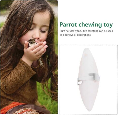 نوبيستي عظمة حبار للطيور مع حاملات، 6 مجموعات 11 سم عظم الحبار المضغ مع حامل معدني، عظم حبار الطيور الطبيعية الكالسيوم لببغاوات الباراكيت | 11 × 3 × 1 سم in Kuwait