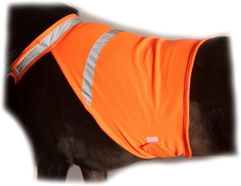 2PET سترة صيد للكلاب وسترة عاكسة للسلامة - تستخدم للرؤية العالية - تحمي الحيوانات الأليفة من السيارات وحوادث الصيد في كل من البيئات الحضرية والريفية - برتقالي مشع صغير in Kuwait
