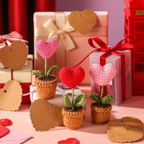 Hotop 6 Pcs Valentine's Day Crochet Handmade Heart and Heart Gift Tags Set, 6 Artificial Handmade Mini Potted Crochet Heart Shaped Knitting Plants 50 Paper Tags with Strings for Wedding Table Shelf in Saudi Arabia