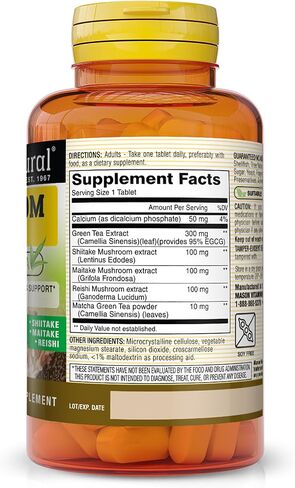 MASON NATURAL Mushroom Power with 95% EGCG & Matcha - for Optimal Wellness, Stress Support and Healthy Inflammatory Response, 60 Plant Based Tablets in Saudi Arabia