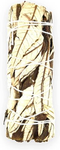 1 Premium 4'' White Sage Smudging Sticks | California White Sage | Salvia | 1 Hand Tied for Home Spiritual Blessing Positive Energy Harmony & Meditation. (Dragon's Blood) in Kuwait