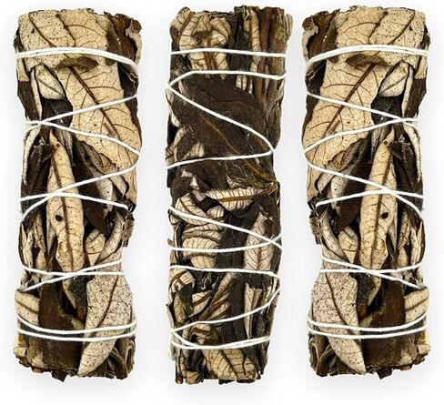 1 Premium 4'' White Sage Smudging Sticks | California White Sage | Salvia | 1 Hand Tied for Home Spiritual Blessing Positive Energy Harmony & Meditation. (Dragon's Blood) in Kuwait