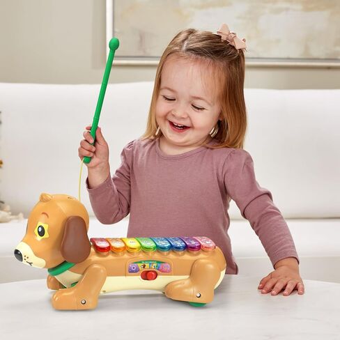 VTech Zoo Jamz Doggy Xylophone (80-571000) in Saudi Arabia