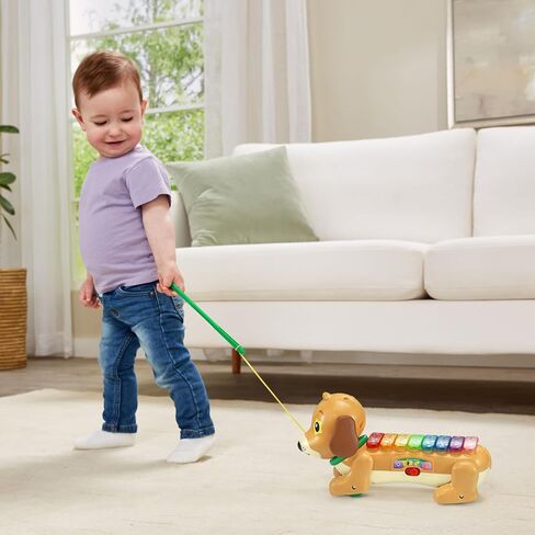 VTech Zoo Jamz Doggy Xylophone (80-571000) in Saudi Arabia