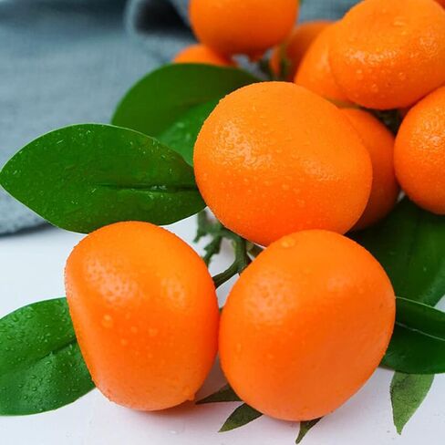 الفاكهة الاصطناعية وهمية الصغيرة اليوسفي البرتقالي النابض بالحياة الاصطناعية وهمية الفاكهة اليوسفي للمنزل المطبخ حزب عرض التصوير الدعامة in Kuwait