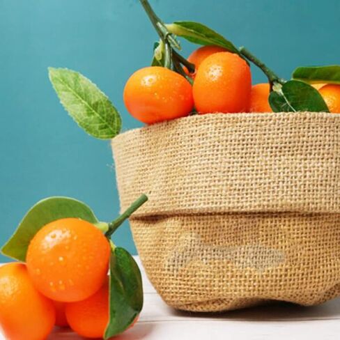 الفاكهة الاصطناعية وهمية الصغيرة اليوسفي البرتقالي النابض بالحياة الاصطناعية وهمية الفاكهة اليوسفي للمنزل المطبخ حزب عرض التصوير الدعامة in Kuwait