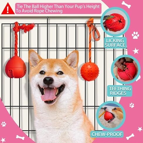 ألعاب مضغ تفاعلية للكلاب من KSVMOAG للسلالات الصغيرة والمتوسطة، مساعدات تدريب القفص للجراء، موزع علاج الألغاز بالحبل، ألعاب قفص الكلاب لتجنب القلق in Kuwait