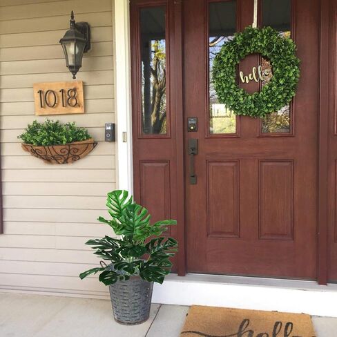 نبات اصطناعي 29 بوصة شجرة حرير أريكا وهمية خضراء مثالية للاستخدام الداخلي والخارجي وأوراق ديليسيوسا الاستوائية الاصطناعية شجرة السلحفاة الصناعية لتزيين المنزل والحديقة والمكاتب (أوراق خضراء 18 سيقان) in Kuwait