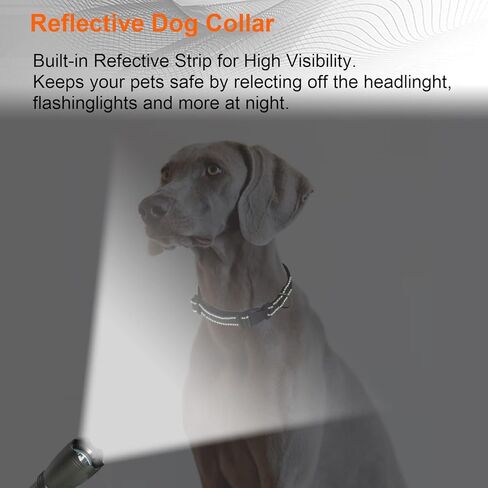 Reflective Dog Collar, Adjustable Nylon Collar, Strong yet Comfortable, Safety Locking Buckle, Length Adjustable for Small Medium and Large Dog in Kuwait