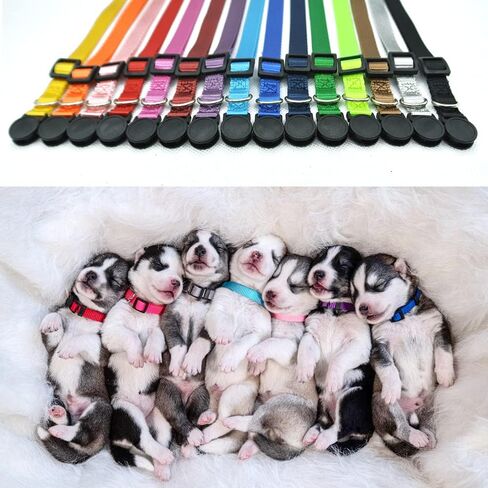 أطواق تعريف الجراء، 15 قطعة من أطواق الجراء المصنوعة من النايلون الناعم، أطواق آمنة قابلة للفصل لفضلات الإنجاب للجراء حديثي الولادة - مجموعة من 15 قطعة (متوسطة 8.5 بوصة - 13.0 بوصة) in Kuwait