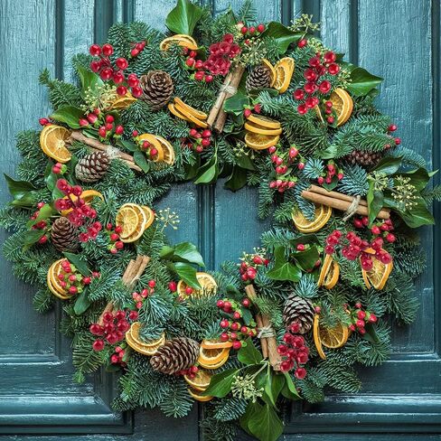 سونكو 15 قطعة من سيقان التوت الأحمر، اللقطات الاصطناعية التوت الأحمر لعيد الميلاد لتزيين شجرة عيد الميلاد، الزينة، الحرف اليدوية، العطلة والديكور المنزلي، 7.87 بوصة in Kuwait