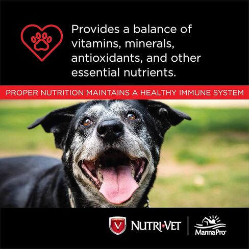 نوتري-فيت أطعمة قابلة للمضغ للكلاب، 120 قطعة (عبوة من قطعتين). in Kuwait