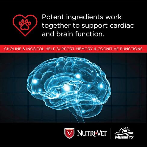 نوتري-فيت أطعمة قابلة للمضغ للكلاب، 120 قطعة (عبوة من قطعتين). in Kuwait