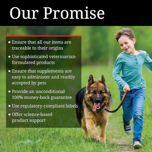 نوتري-فيت أطعمة قابلة للمضغ للكلاب، 120 قطعة (عبوة من قطعتين). in Kuwait