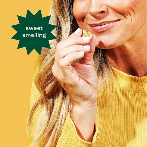 فورتيفاي بروبيوتيك للكلاب - مكملات صحة الأمعاء والبروبيوتيك للحيوانات الأليفة مع البريبايوتكس والألياف وجذور الهندباء والقرع I للإسهال ونباتات الأمعاء ودعم الجهاز الهضمي، 6 سلالات مسبقة ومضغ البروبيوتيك للكلاب، 90 قيراط in Kuwait