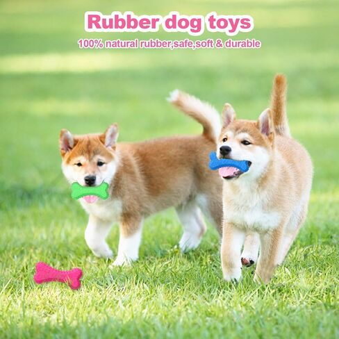 3 قطع من ألعاب تسنين الجرو الصوتية للكلاب الصغيرة، ألعاب مضغ للكلاب الأليفة، مطاط ناعم، عظام ممتعة للاستخدام الداخلي والخارجي، تنظيف الأسنان، مجموعة ألعاب الجرو التفاعلية in Kuwait