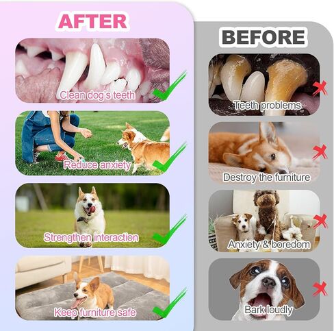 3 قطع من ألعاب تسنين الجرو الصوتية للكلاب الصغيرة، ألعاب مضغ للكلاب الأليفة، مطاط ناعم، عظام ممتعة للاستخدام الداخلي والخارجي، تنظيف الأسنان، مجموعة ألعاب الجرو التفاعلية in Kuwait