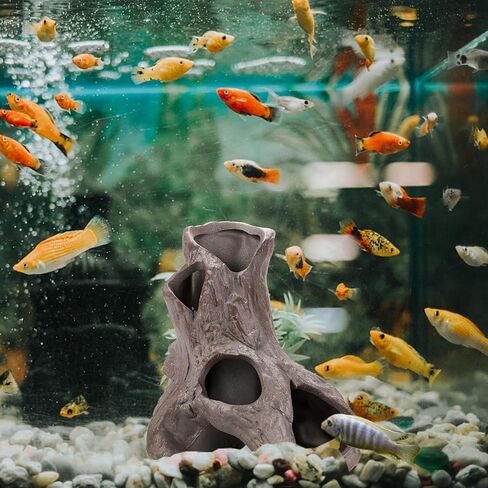 TOPZEA 2 حزمة جذع شجرة حوض السمك مع 5 فتحات لأسماك البيتا، جذر شجرة مجوف من السيراميك Cichlid يختبئ الكهوف الصخرية حجر مخبأ، ألعاب خزان الأسماك، زينة ديكورات المناظر الطبيعية in Saudi Arabia