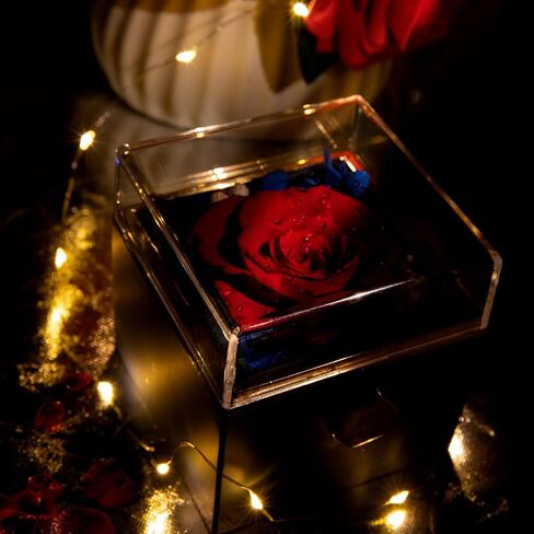 HIAGROW Valentines Day Gifts for Her, Red Preserved Rose Box with 100 Languages I Love You Necklace, Forever Flower Rotating Jewelry Box Birthday for Mom, Wife, Girlfriend in Saudi Arabia