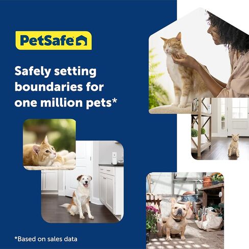 PetSafe SSSCAT رش تلقائي لرادع الحيوانات الأليفة - رادع منشط للحركة رائد عالميًا للقطط والكلاب - رذاذ رادع للقطط لإنشاء مناطق محظورة، وإيقاف خدش الأثاث in Kuwait