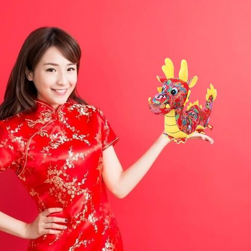 RUIYELE 2 Pcs 9.84 Inch/25cm Chinese Dragon Plush Toy 2024 Chinese New Year Dragon Stuffed Animals Zodiac Figure Toys Mascot Dragon Plush Pillow for Spring Festival Decorations Chinese New Year Gifts in Kuwait