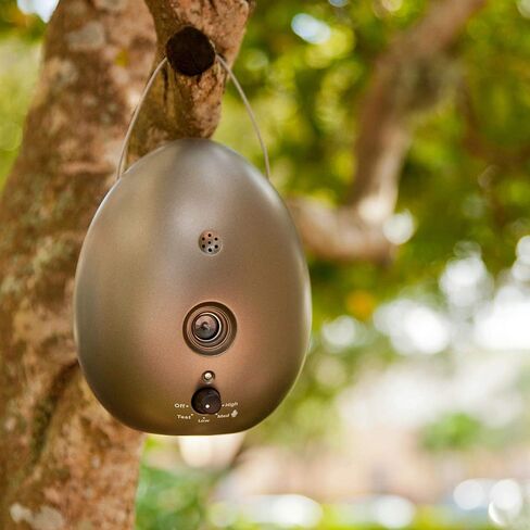 صن بيم جهاز التحكم في لحاء البيض سونيك in Kuwait