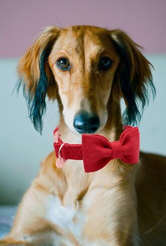 DOGWONG Cotton Dog Collar with Bow, Pink Pet Collar Durable Adjustable Puppy Collar for Small Medium Large Dogs in Saudi Arabia