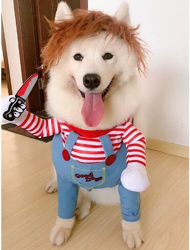 زي تنكري للهالوين للحيوانات الاليفة والكلاب والقطط والدمى المميتة تشاكي من ال تي دي اي كو، لطيف ومخيف ومخيف للحيوانات الاليفة in Kuwait