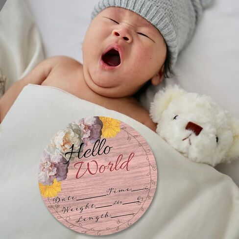 Hello World Newborn Baby Announcement Sign Shower Gift Baby Birth Stats Hospital Photo Props Gender Reveal Girl Boy Neutral Nursery Wall Decor Gifts Baby Book Keepsake (Dinosaurs) in Saudi Arabia