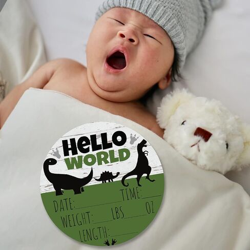 Hello World Newborn Baby Announcement Sign Shower Gift Baby Birth Stats Hospital Photo Props Gender Reveal Girl Boy Neutral Nursery Wall Decor Gifts Baby Book Keepsake (Dinosaurs) in Saudi Arabia