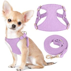 مجموعة حزام ومقود الكلاب الصغيرة من ديدوج، حزام ناعم ولطيف للكلاب الصغيرة، حزام كلب قابل للتعديل مقاس XXS لتدريب الجراء على المشي، أرجواني، مقاس XXS in Kuwait